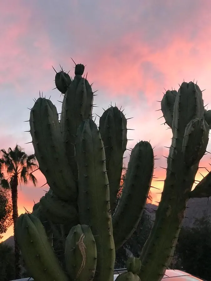 Prázdninový dům Vila Casa De Vito Palm Springs